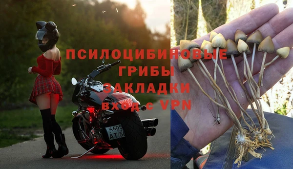 дурь Костерёво