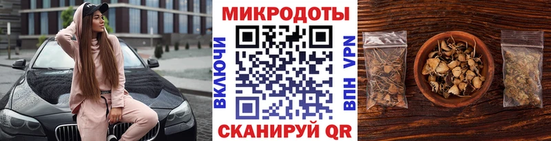 Купить где Куровское Галлюциногенные грибы мицелий
